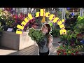 Come Plant Shopping With Me McDonalds Garden Center House Plant Shopping