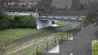 五中橋映像監視局
