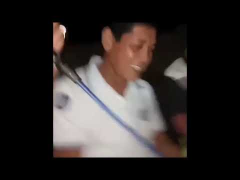 LOLO TOMMY'S TRIBUTE (GUARDIANS)