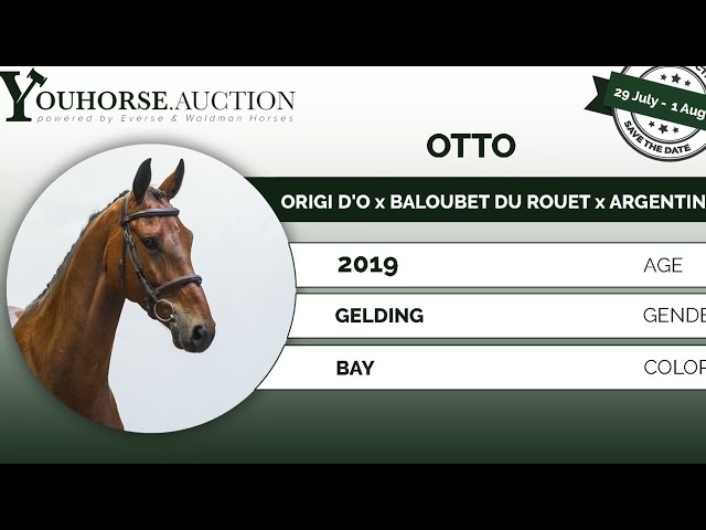 Otto @ show