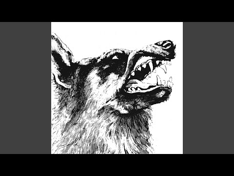 We Forgotten Who We Are