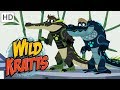 Wild Kratts Alligators Vs Crocodiles Kids Videos