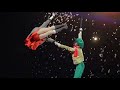 Woman Performer Dancing In The Circus