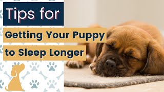 How to Get Puppy to Sleep Longer