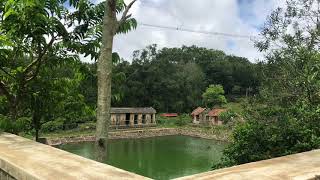 preview picture of video 'BR-hills karnataka |br hills mysore|billigiri ranganath swamy betta|hills in karnataka'