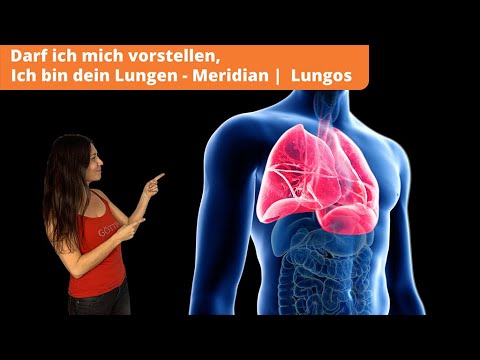 9. Darf ich mich vorstellen: Ich bin dein Lungen-Meridian |  Lungos