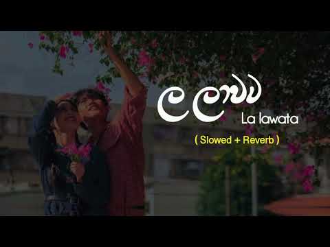 La lawata (ල ලාවට)│crush එක මතක් කරන් ආතල් එකේ අහන්න 🥺🎧💜 Slowed+Reverb Vibe #SITHU_MUSIC