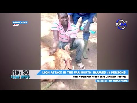 Prime News, Media Prime - Monday 22nd February 2021