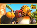 The Jungle Blob Jungle Bunch 65 Compilation Cartoon For Kids