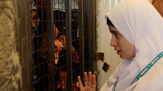 After Spring - OFFICIAL TRAILER