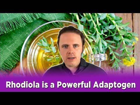 Rhodiola is a Powerful Adaptogen