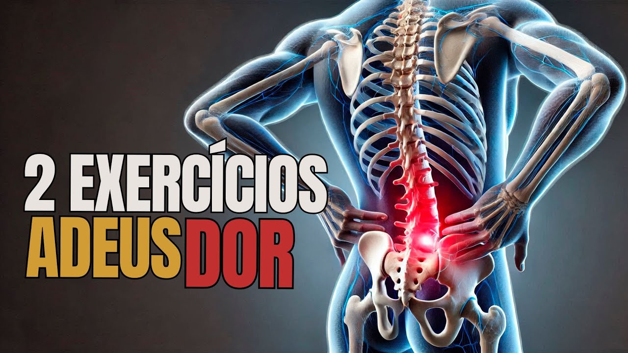 Melhores exercícios para HERNIA DE DISCO, Dor lombar e Dor no ciático
