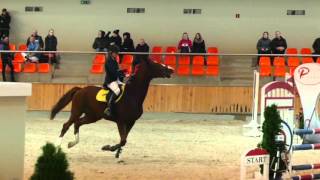 Video von Arafat