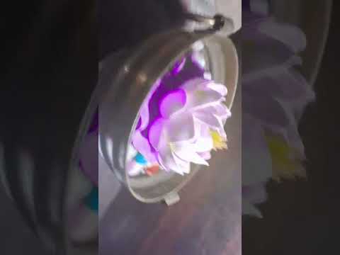 #aesthetic #love #photography #cute #beautiful #nature