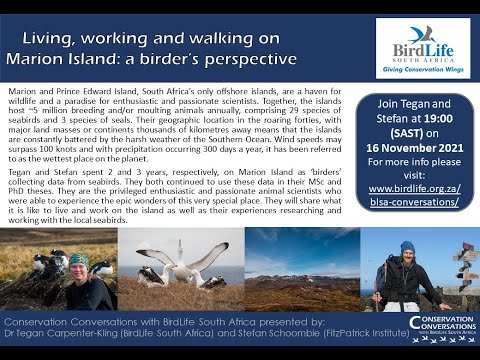 Conservation Conversations: Tegan Carpenter-Kling and Stefan Schoombie - Seabirds on Marion Island