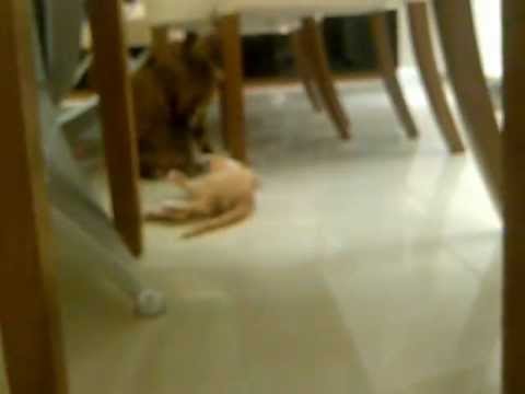 Agata y Jack   Day 2    Vid 3