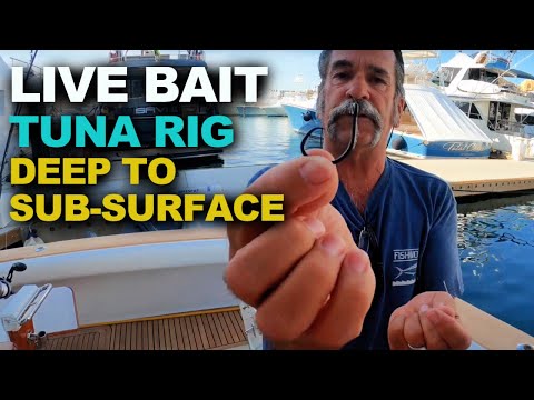 How to Catch Tuna | Live Bait Rig FOR Sub Surface to DEEP