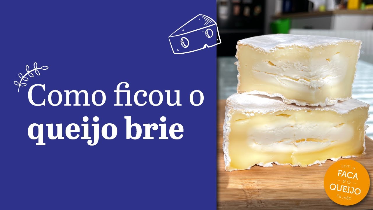 Como ficou o queijo brie feito em casa