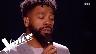 Starmania (Le monde est stone) | Hobbs | The Voice 2018 | Lives