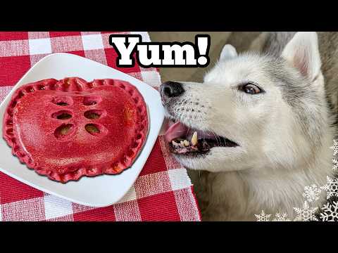 DIY Apple Pie Turnovers for Dogs! (Easy Fall Dog Treat Recipe)