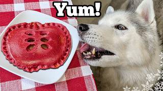 DIY Apple Pie Turnovers for Dogs! (Easy Fall Dog Treat Recipe)