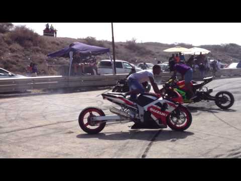 Spank Bank Koraal Tabak 2014