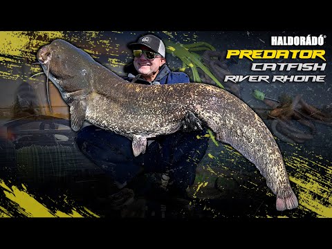 Döme Gábor - LEGENDÁS HARCSÁS VIZEKEN 12. rész - Fireball a Rhone folyón