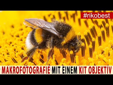 MAKROFOTOGRAFIE 📷 Anfänger TIPPS für tolle Fotos mit einem Kitobjektiv 📷 und Makro Zwischenringen