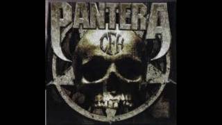 Pantera ~ Where You Come From