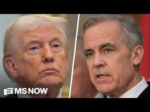 'We are your best customer': Fmr. Deputy PM on U.S.-Canada relations amid Trump tensions