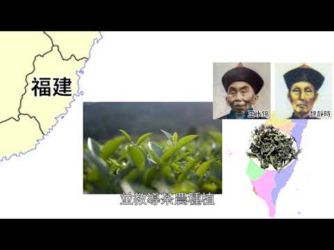 新茶名新包裝樂趣活動 舊莊以茶營造社區
