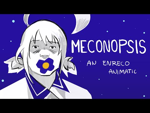 MECONOPSIS | ENReco Animatic (PART 1)
