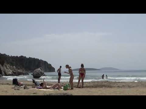 KATANA 290421 13 IM SCHATTEN JUNGER MÄDCHENBLÜTE