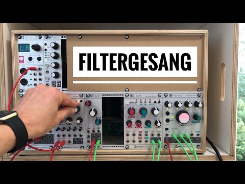 Ganz einfach ! Mein Filter singt ! | Modularer Synth | Eurorack | DEUTSCH