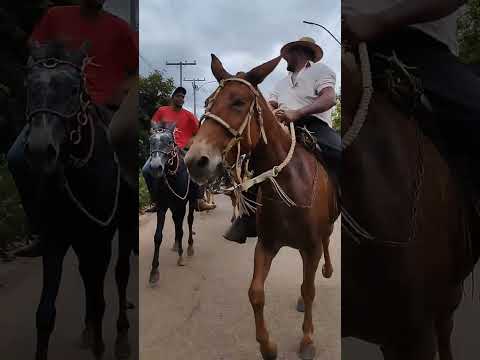 cavalgada de vandão Bar Mortugaba Bahia #shorts