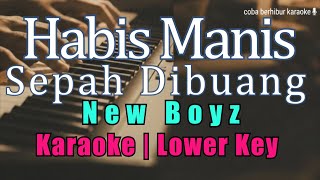 Download lagu [Karaoke] New Boyz - Habis Manis Sepah Dibuang (Karaoke Lower Key) mp3