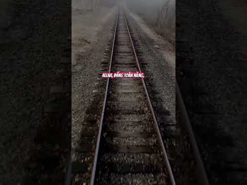 #215 QURAN VÀ SUNNAH LÀ CON ĐƯỜNG MUTTAQUIN