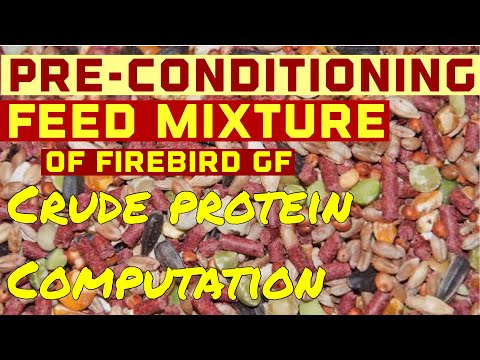 Pre-Conditioning Feed Mixture