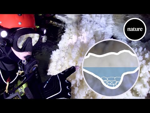 How a Flooded Cave is Helping Scientists Learn About Mallorca