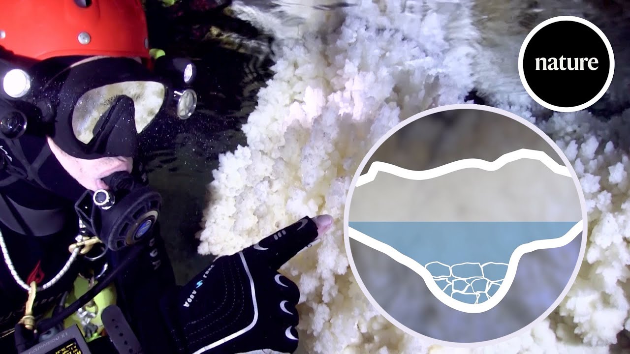 Underwater bridge gives clues to ancient human arrival