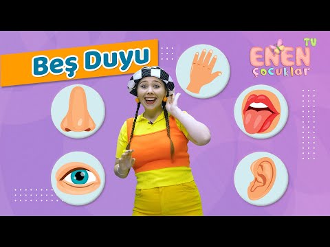 Çocuklar için beş duyuyu öğrenmek - Okul öncesi eğitim