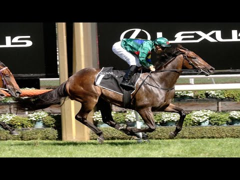 Alligator Blood blitzes rivals to win the G1 2020 Australian Guineas