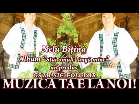 COLAJ ALBUM NELU BITINA - STAI OMULE LANGA MINE