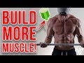 5 Best Muscle Building Tips for Beginners (SUPPLEMENTS ONLY!)