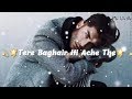 Tere Baghair Hi Ache The Best Shayari Whatsapp Status Mehshar Afridi Shayari New