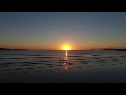 'Sonny's Dream' performed by The Fiddle Case