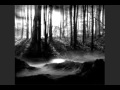 Beat Radio - ...And in the End Shoot Back (Diggs Cover)...