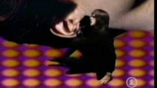 todd rundgren hideaway