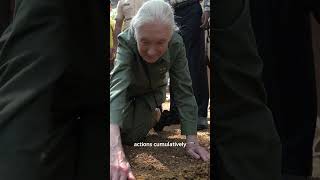 Peace Day Message 2025 from Dr. Jane Goodall | United Nations