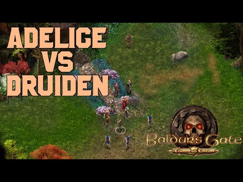 Let's Play Baldur's Gate: Enhanced Edition: Mantelwald 1 - Teil 47